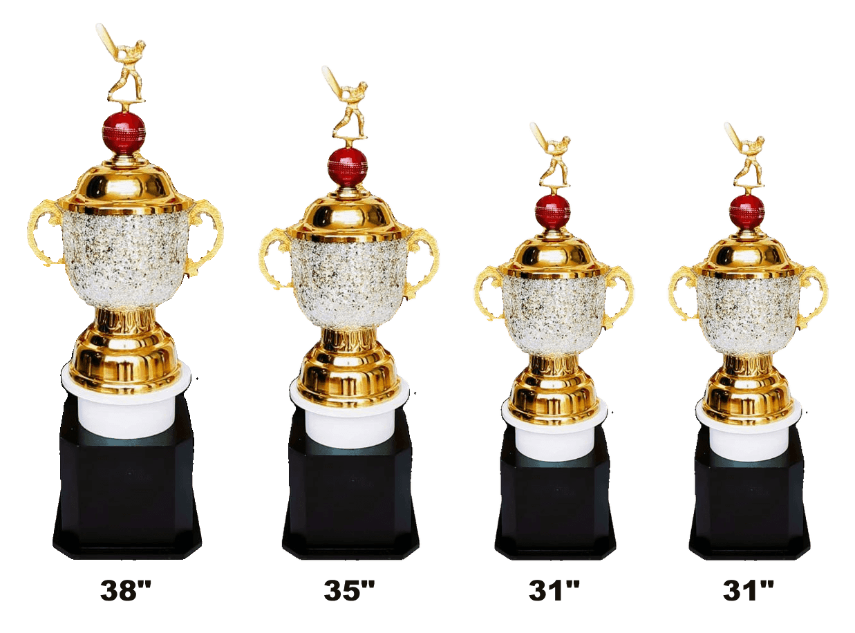Cricket Glitter Cup 1073 - batsman figure and red ball above a silver glitter cup on a black base