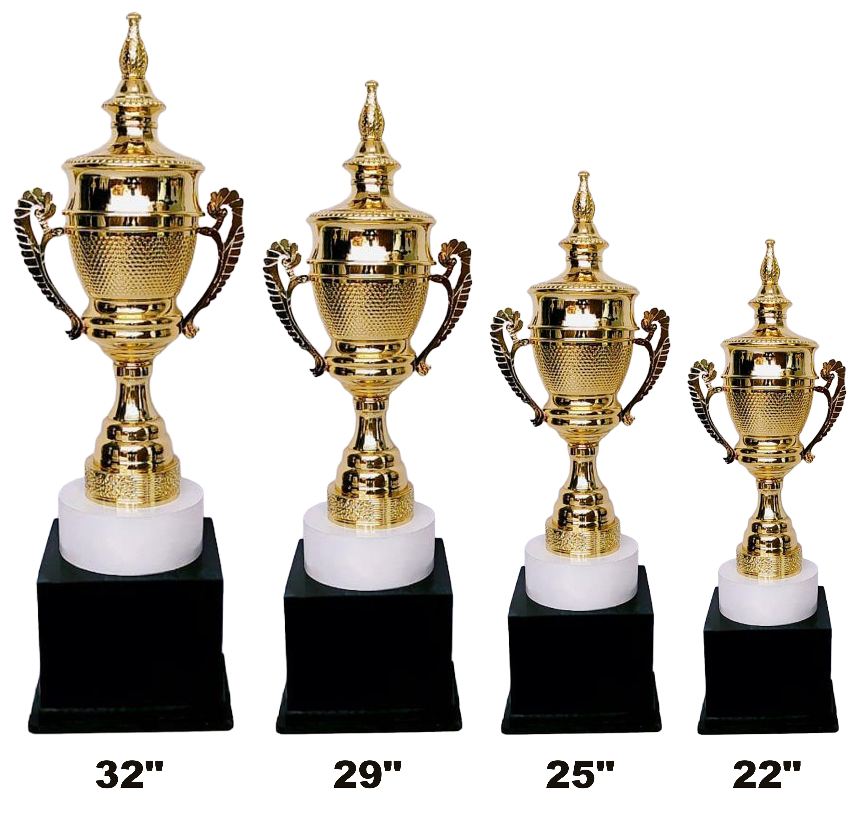 Regal Cup 1074